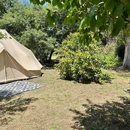 Giant Canvas Rental Tent Agro-Turismo Quinta Da Fonte Фигейро дос Виньос Екстериор снимка