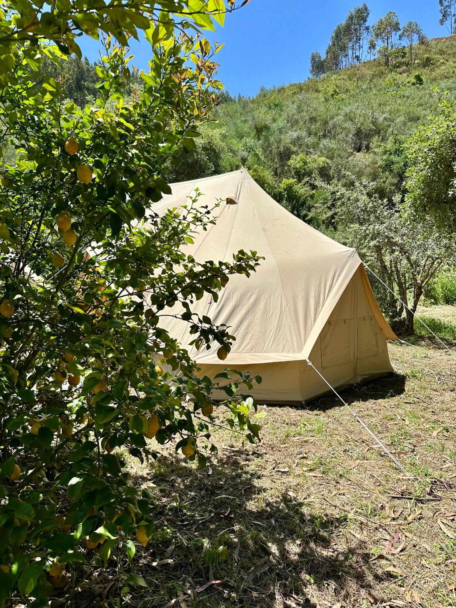Giant Canvas Rental Tent Agro-Turismo Quinta Da Fonte Фигейро дос Виньос Екстериор снимка