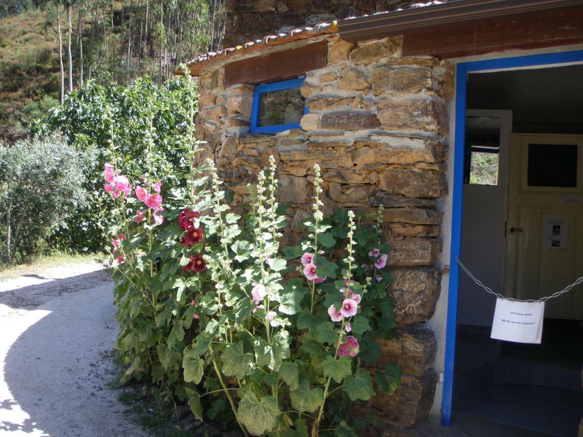 Giant Canvas Rental Tent Agro-Turismo Quinta Da Fonte Фигейро дос Виньос Екстериор снимка