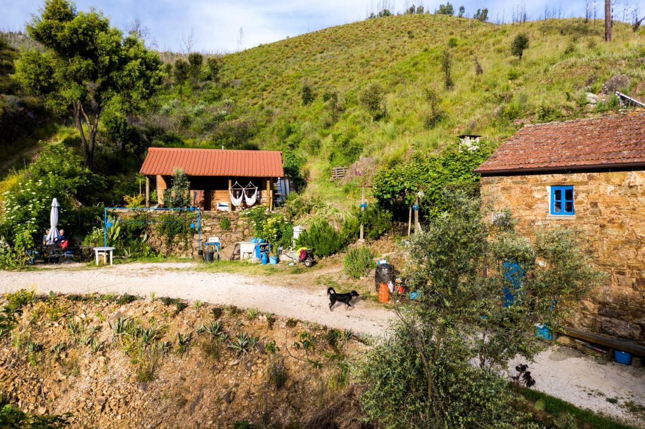 Giant Canvas Rental Tent Agro-Turismo Quinta Da Fonte Фигейро дос Виньос Екстериор снимка